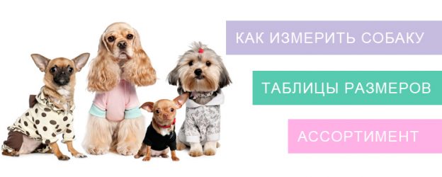 алиэкспресс предлагает одежду для собак